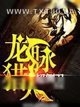 《龙脉猎人》小说封面