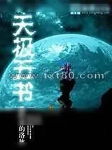 《天极五书》小说封面