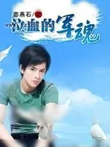 《泣血的军魂》小说封面
