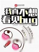 《我真不想看见bug》小说封面