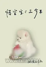 《我穿成了被遗弃在狗狗星的小猫崽》小说封面