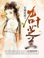 《九叶芝兰》小说封面