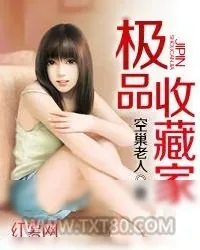 《极品收藏家》小说封面