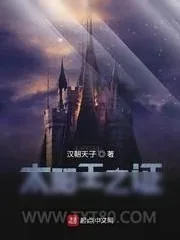 《太阳王之证》小说封面