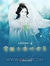 《穿越之临时演员》小说封面