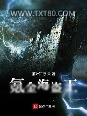 《氪金海盗王》小说封面