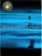 《非常盗》小说封面