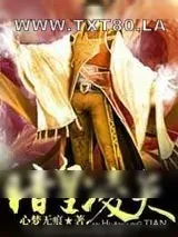 《暗皇凌天》小说封面
