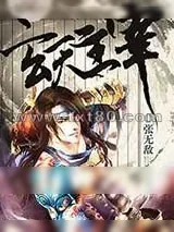 《玄天主宰》小说封面