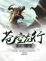 《苍空龙行》小说封面
