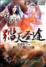 《踏天圣途》小说封面