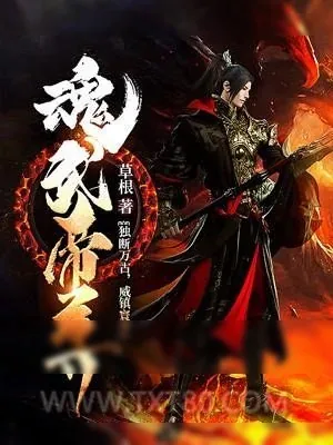 《魂武帝尊》小说封面