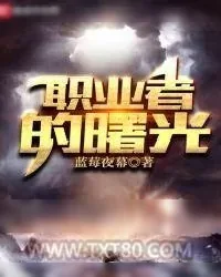 《职业者的曙光》小说封面