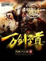 《万剑至尊》小说封面