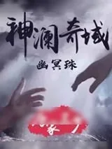 《神澜奇域幽冥珠》小说封面