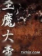 《圣魔大帝》小说封面