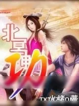 《北冥神功》小说封面