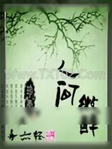 《人间微醉》小说封面
