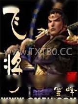 《飞将》小说封面