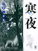 《寒夜》小说封面
