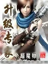 《升级专家》小说封面