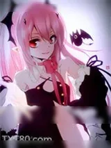 《你有看见我家使魔吗?》小说封面