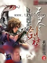 《无尽剑装》小说封面