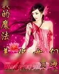 《我的魔法美少女们》小说封面