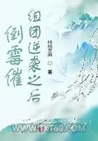 《倒霉催组团逆袭之后》小说封面