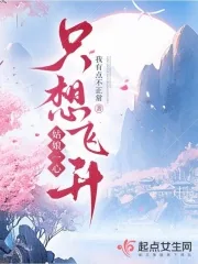 《姑娘一心只想飞升》小说封面