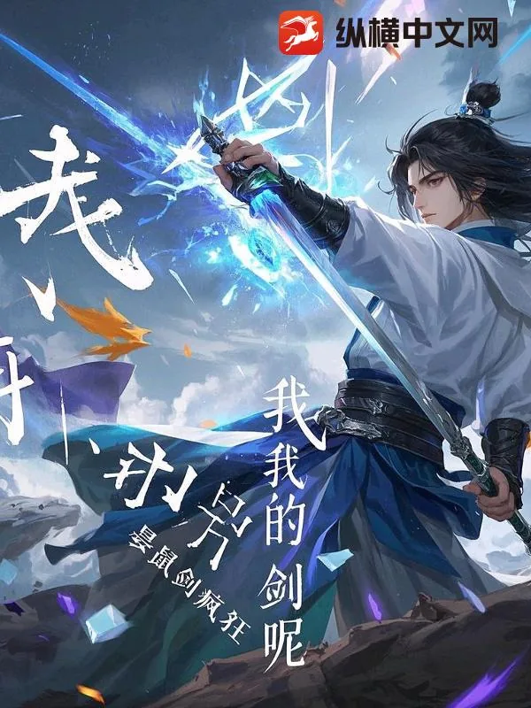 《我的剑呢》小说封面