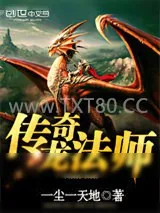 《传奇龙法师》小说封面