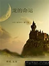 《术士的指环》小说封面
