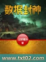 《数据封神》小说封面