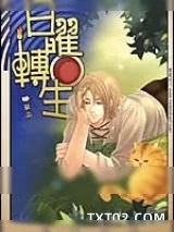 《日曜转生》小说封面
