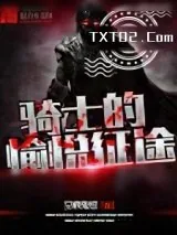 《骑士的愉悦征途》小说封面