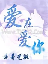 《爱在爱你》小说封面