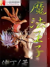 《魔法王子》小说封面
