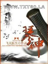 《琴神》小说封面