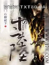 《十二大陆》小说封面