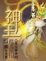 《神王》小说封面