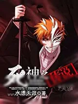 《死神之传说》小说封面