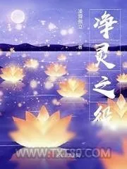 《净灵之役》小说封面