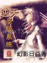 《逆天圣级系统》小说封面