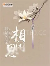《相思闲》小说封面