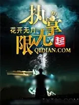 《执掌无限》小说封面