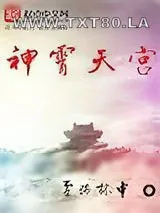 《神霄天宫》小说封面
