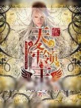 《天降领主》小说封面