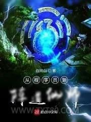 《从程序员到阵道仙师》小说封面
