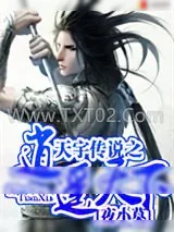 《天宇传说之逍遥天下》小说封面